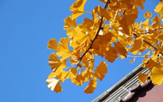 【古道人生】同是卖泥丸 何以一个能治病一个医死人