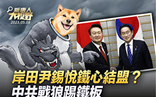 【新唐人大视野】日韩铁心同盟 战狼呛韩踢铁板