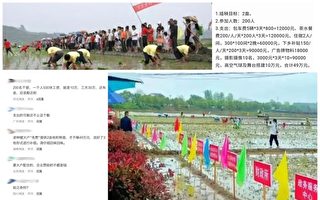 河南公务员3天插2亩秧花费49万 引质疑