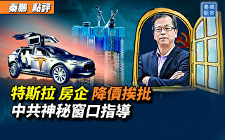 【秦鹏观察】特斯拉降价挨批 中共神秘窗口指导
