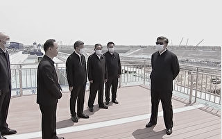 习近平视察雄安新区戴墨镜口罩 李强罕见陪同