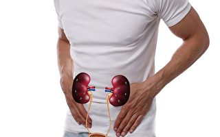 4个信号是肾脏在求救 医师：护肾这7件事很重要