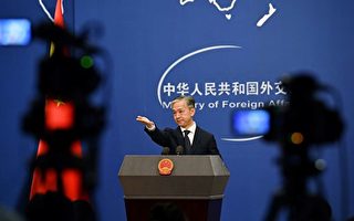 汪文斌否认中国是发达国家 评论翻车