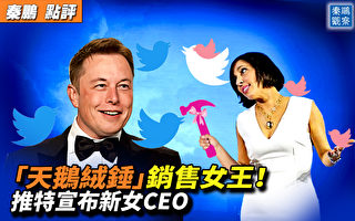 【秦鹏观察】推特宣布新CEO 天鹅绒锤销售女王