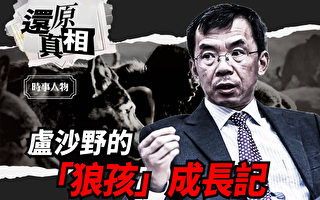 【还原真相】卢沙野的“狼孩”成长记