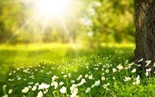 千古一诗《游子吟》是怎么写成的？