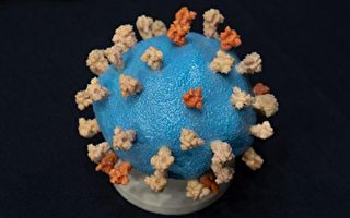 疫情疑卷土重来 首次感染及二阳人数上升