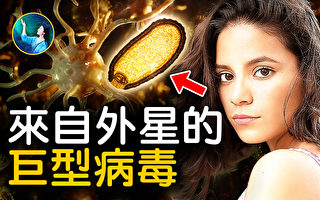 【未解之谜】病毒的迷思