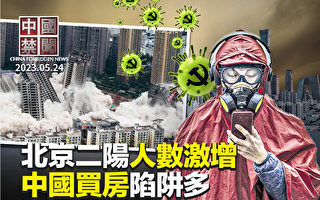 【中国禁闻】北京二阳人数激增 市民储防疫物资