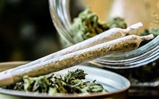 大麻危害低于烟草？从两项研究结果一窥真相