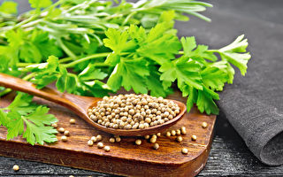 排重金属第一菜 香菜祛斑、养肾 中医师荐8种妙用