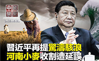 【中国禁闻】危机前所未有 习近平再提惊涛骇浪