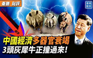 【秦鹏观察】中国经济多器官衰竭 3灰犀牛撞来