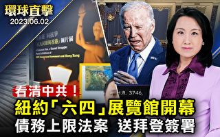 【环球直击】纽约六四展馆开幕 王丹吁看清中共