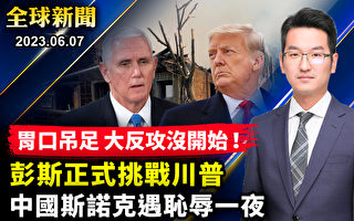 【全球新闻】彭斯正式挑战川普 参选人扎堆