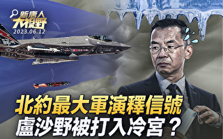 【新唐人大视野】25国空中军演 北约史上最大