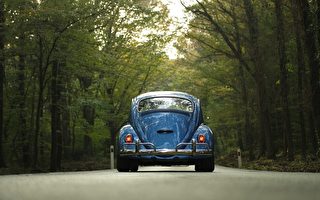 开车度假回来 别犯这种可能致命的错误