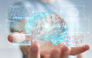 揭开了意识之谜?神经科学家打赌输给哲学家