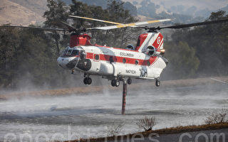 20年来今年加州火灾最轻 比去年同期减少94%