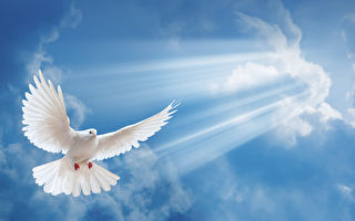 梦天之谜问 “天”文化的另类神奇玄意（下）