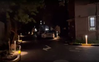 上海小区改造被吐槽像“墓区” 居民不敢出门