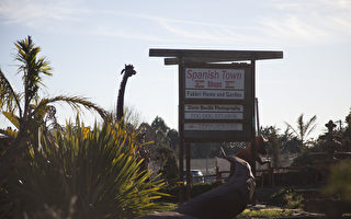 北加枪击案农场去年也发生过枪击事件