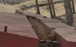 吉林村民为便民私自建桥  一家18口获刑