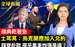 【全球新闻】土耳其总统:乌克兰有资格加入北约