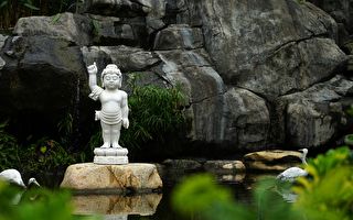 带着记忆转生 小婴儿刚出生就会说话