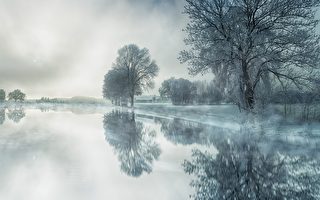 生活中如何应用无为？ 美国心理学家这么说