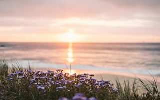 散文：在红尘中等你