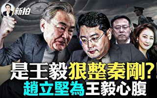 【拍案惊奇】王毅狠整秦刚？传赵立坚是王心腹