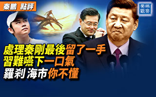 【秦鹏观察】处理秦刚留后手 习难咽下一口气？