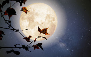 清朝版《盗梦空间》一老一少灵魂出游 竟然推理出真凶