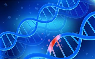 DNA受伤让人变老 易致癌 名医教你护DNA最佳方法