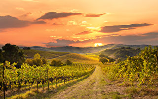 吐生万物：中国古代“土”文化小探（上）