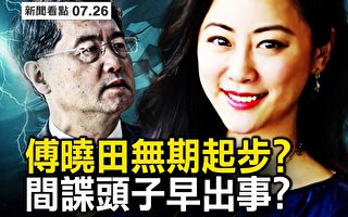 【新闻看点】秦刚事件尘埃落定？微博热议傅晓田