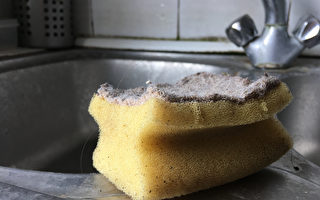 如何让厨房的旧海绵“起死回生”？