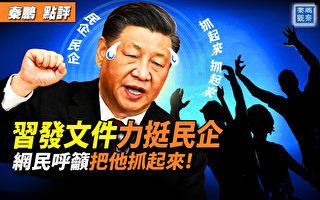 【秦鹏观察】中南海急疯了？发11道文挺民企