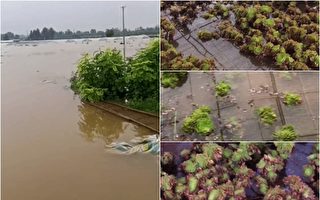 郑州村民：水库半夜泄洪 我们都是跑出来的