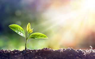 把自己活成一道光