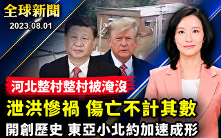 【全球新闻】泄洪保北京 涿州被淹死伤惨重