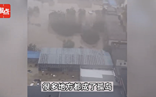 河北涿州水深四五米 航拍现场：仅露树冠