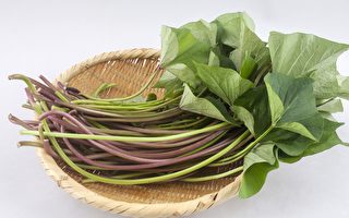 这颜色地瓜的叶子抗氧化力更强 1吃法营养最佳
