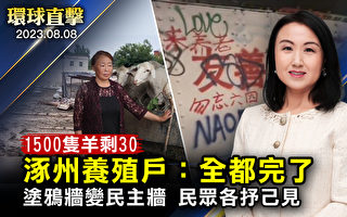 【环球直击】民众补笔 伦敦涂鸦墙成反共民主墙