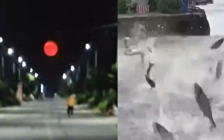 异象频发：云南鱼群跳跃 湖北天空现血月