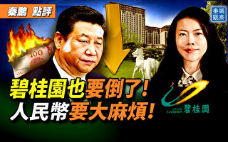 【秦鹏观察】碧桂园也要倒了？人民币遇大麻烦