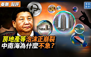 【秦鹏观察】房地产泡沫崩裂 中南海为何不急?