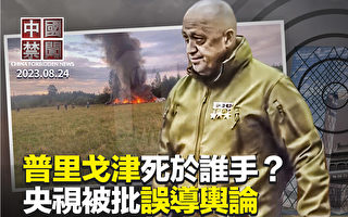 【中国禁闻】内鬼泄诈骗电话号？ 央视被批误导舆论