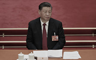 分析：习近平反腐下一波目标或锁定两系统